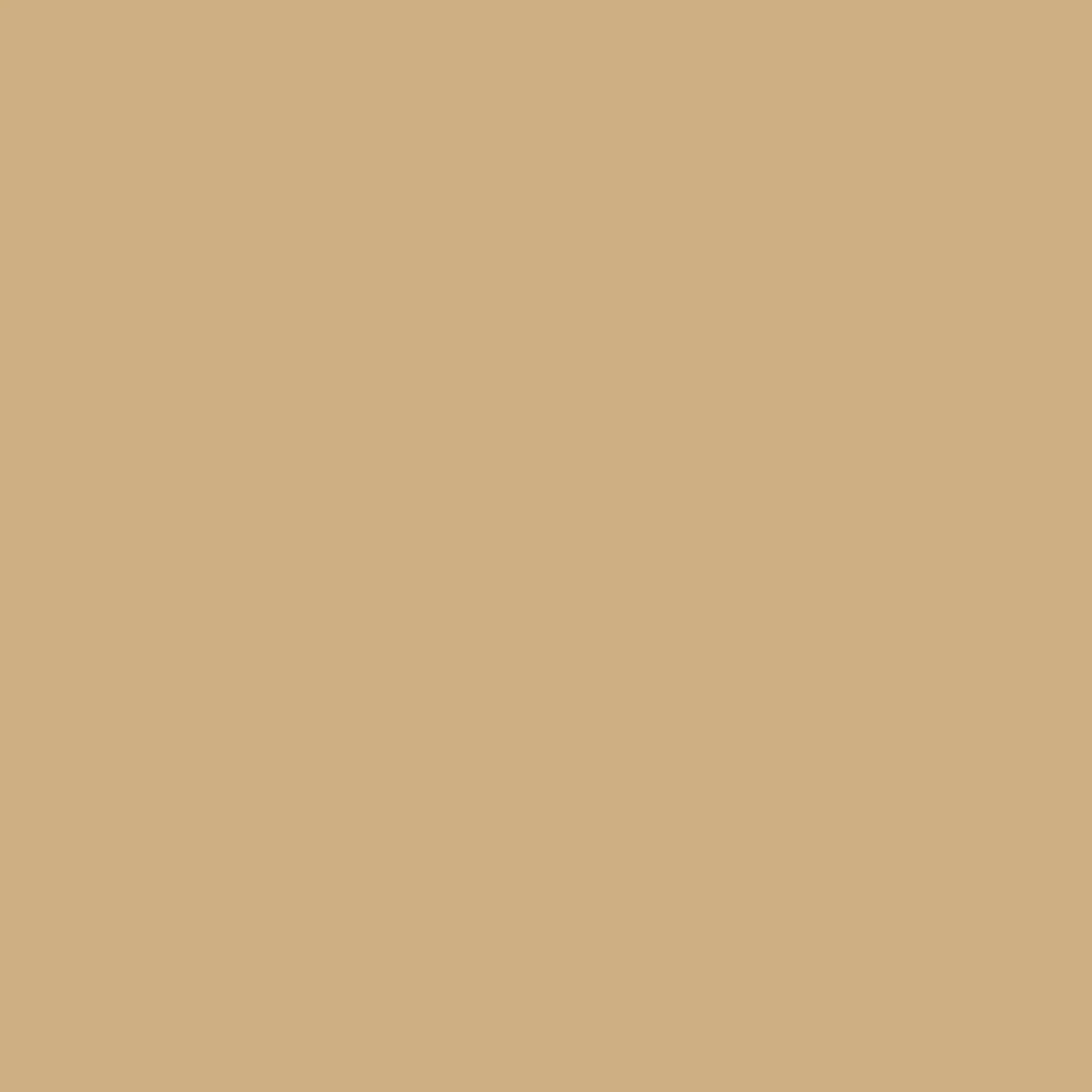 Étanchéité toit terrasse & toit plat | Résine et peinture étanche polyuréthane colorée, membrane liquide | ARCATHAN - 4 kg Beige - RAL 1001 - ARCANE INDUSTRIES