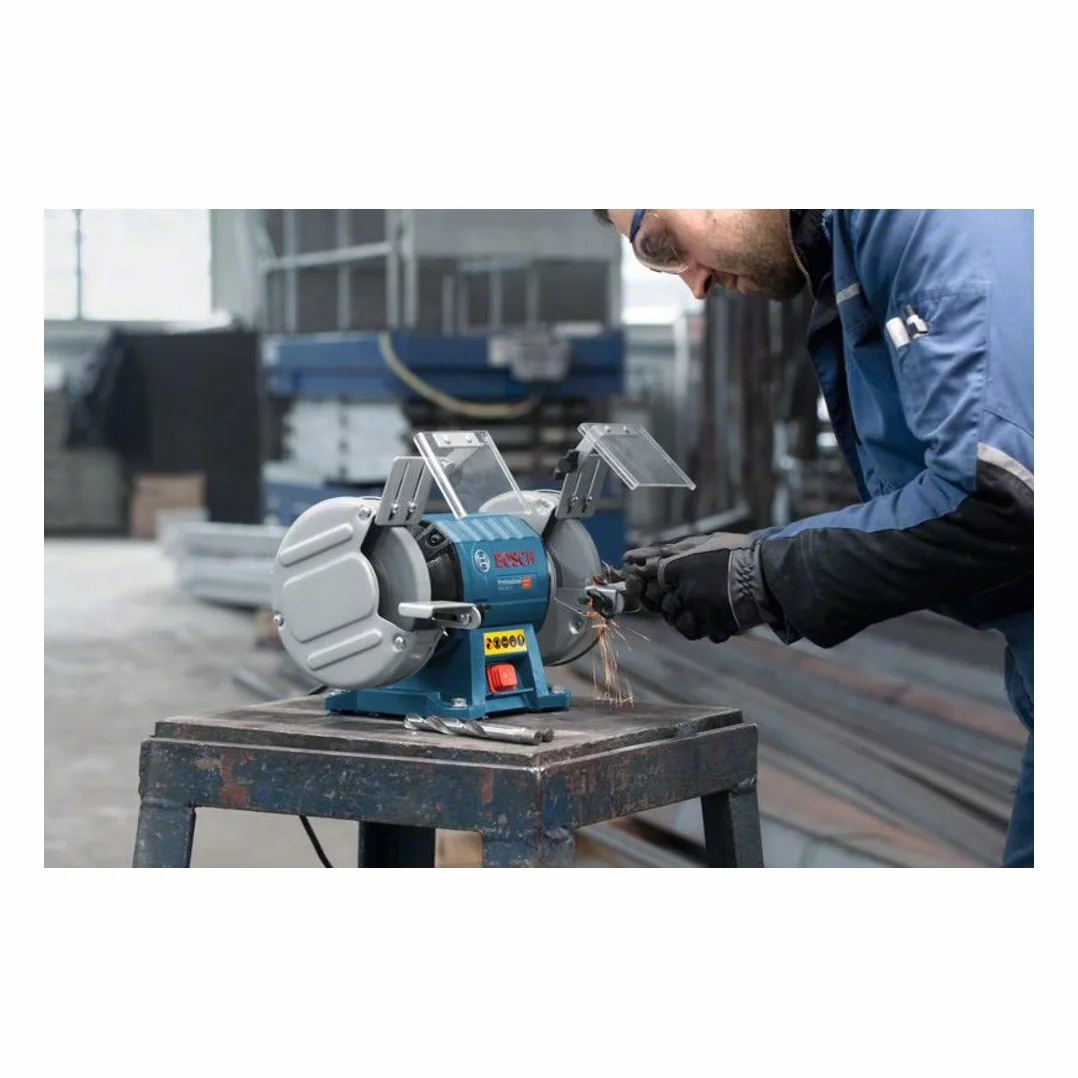 Bosch Professional touret à meuler GBG 35-15 (meules Ø 150 mm, 350 W, avec meules à grain normal de 24, 60)